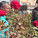 Operation Sindoor Rose