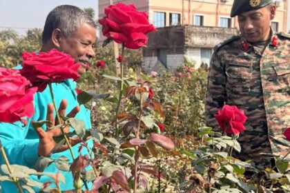 Operation Sindoor Rose