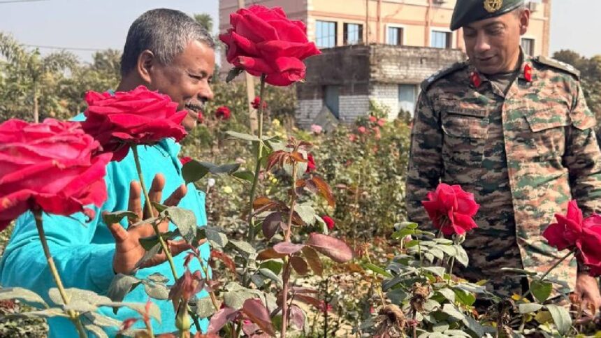 Operation Sindoor Rose