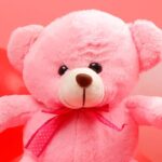 Teddy Day