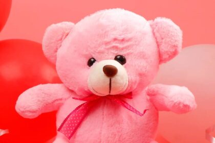 Teddy Day