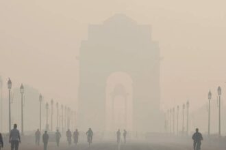 Delhi Smog Protection