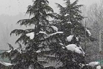 Gulmarg Snow