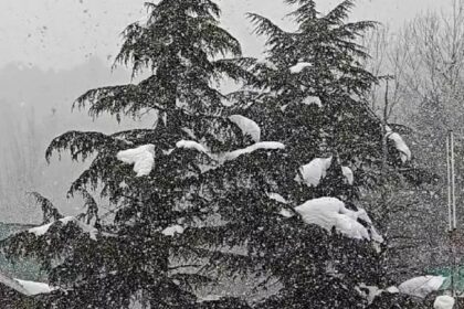 Gulmarg Snow