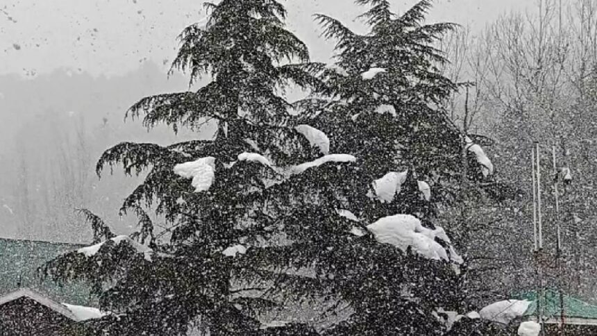 Gulmarg Snow