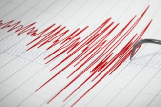 New Zealand Earthquake