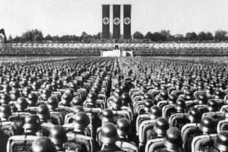 Nazi Search