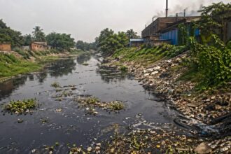 Saraswati River