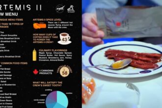 Artemis 2 Food