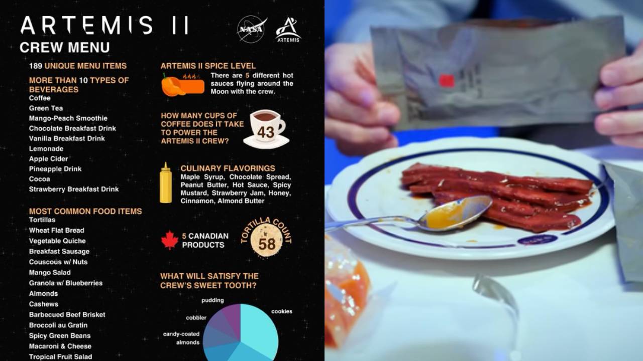 Artemis 2 Food