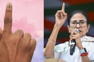 TMC vs BJP