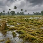 Farmer Crisis