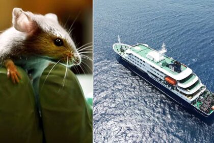 Mission Hantavirus