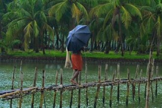 IMD Monsoon