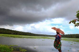 India Monsoon