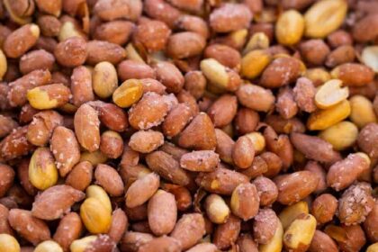 Indian Protein Food
