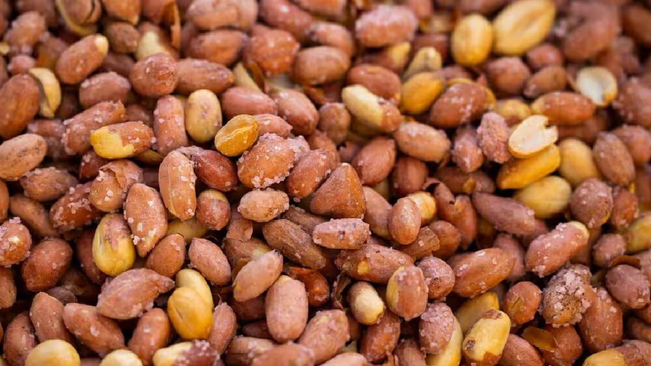 Indian Protein Food