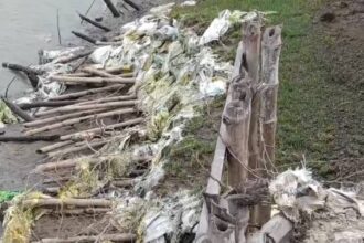 River Embankment