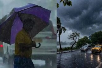 Weather