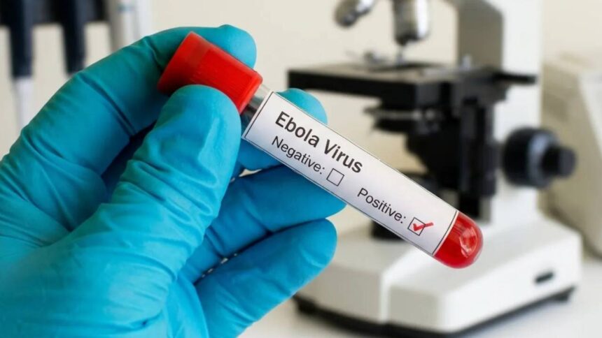 Ebola Virus