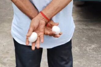 Canning Egg Protest