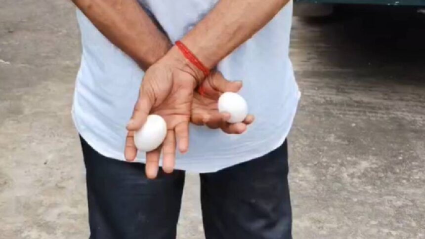 Canning Egg Protest
