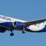 Indigo Lay Off