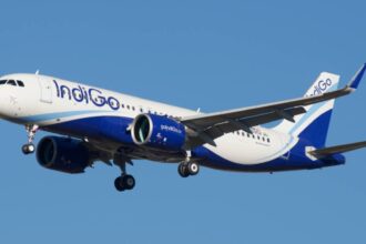 Indigo Lay Off