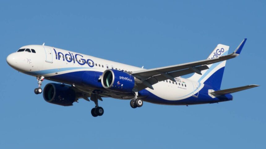 Indigo Lay Off