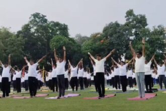 International Yoga Day