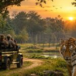 Jhargram Tiger Safari