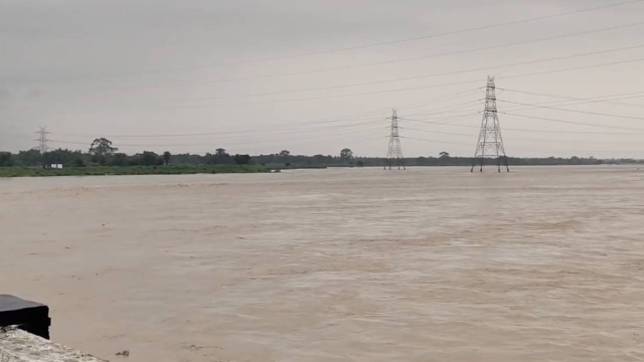 NB Rain