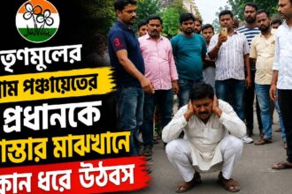 TMC Leader
