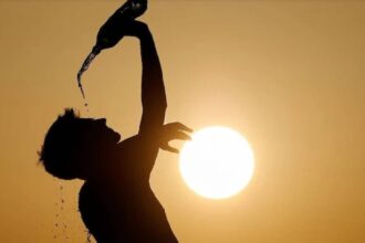 Summer Weather Forecast