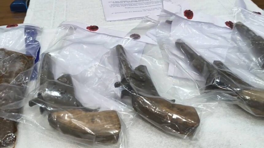 Illegal Arms Recovery