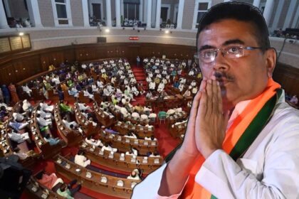 Cabinet Portfolio Delay