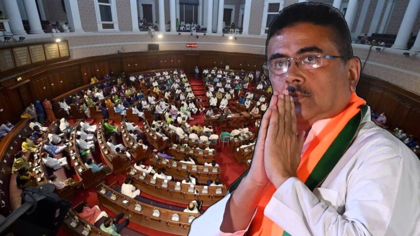 Cabinet Portfolio Delay