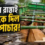 Illegal Cow Smuggling
