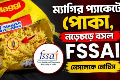 Insect in Maggi