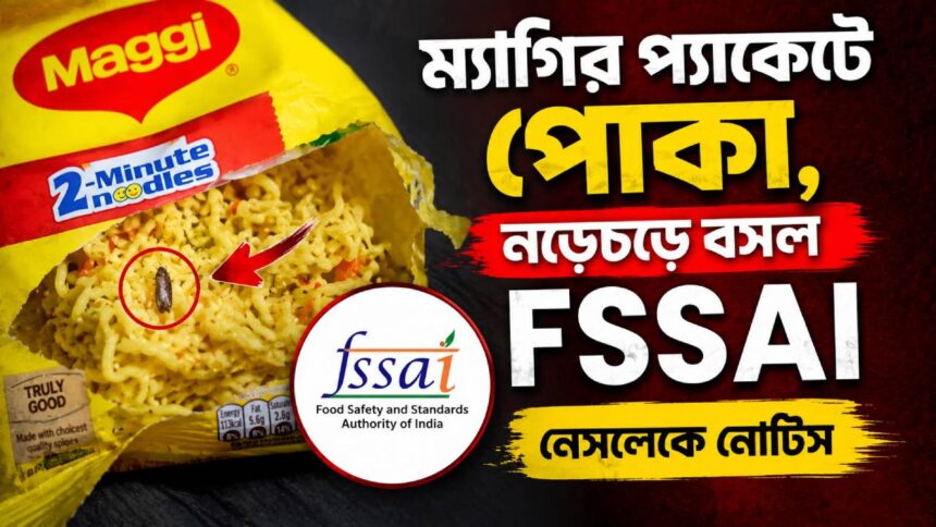 Insect in Maggi