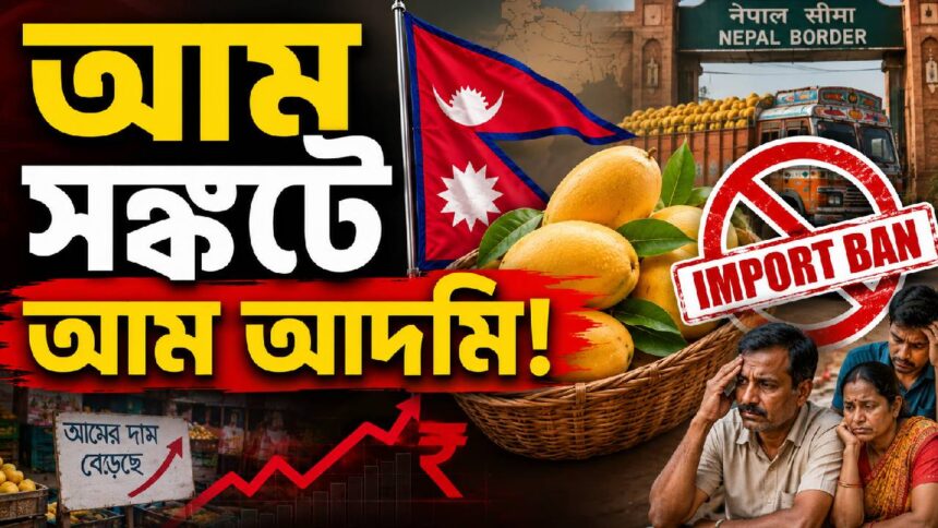 India Mango Setback