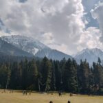 Pahalgam Pak