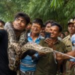 Python