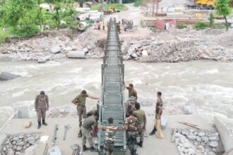 Dudhiya Bridge
