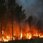 France Wildfire