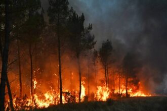 France Wildfire