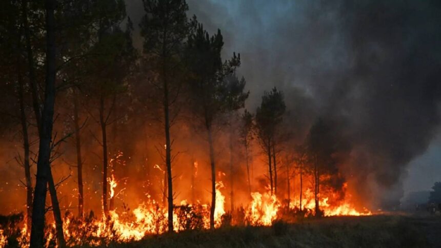 France Wildfire