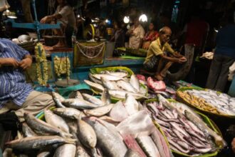 Gujarat Hilsa