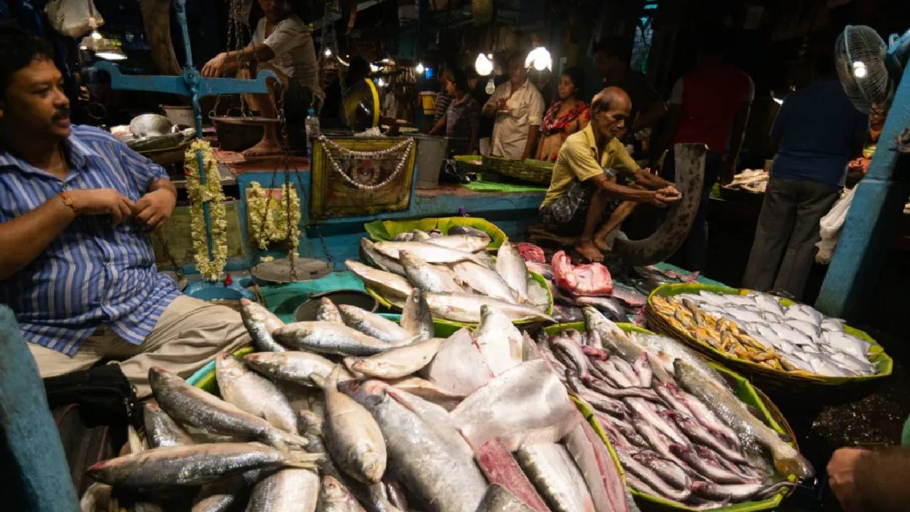Gujarat Hilsa