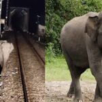 Indian Railways
